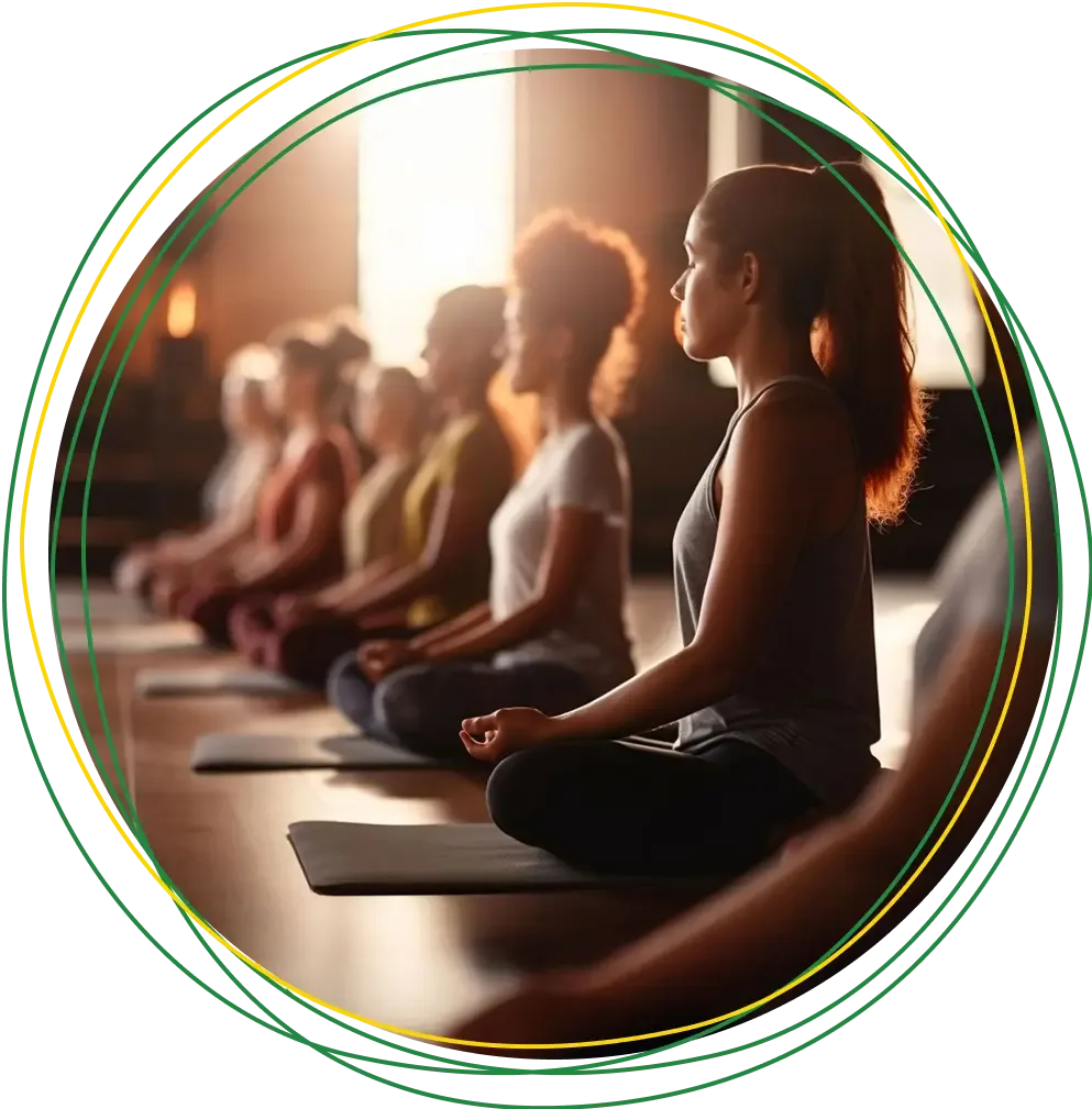 Wellness Program